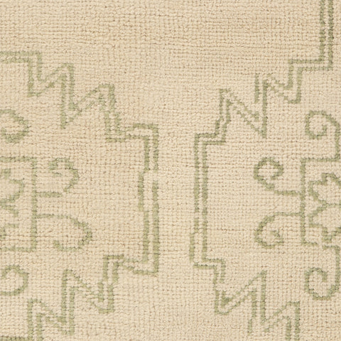 Dicyra Traditional Vintage Rug Swatch | Ivory