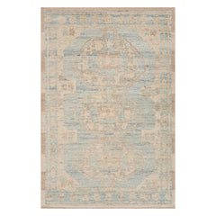 Sarya Traditional Vintage Rug | Blue