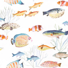 Happy Fish Wallpaper Swatch | Multi