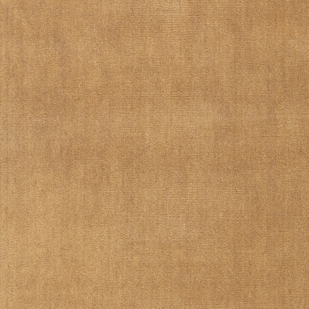 Taniea Modern Tan Rug Swatch | Tan