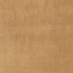 Taniea Modern Tan Rug Swatch | Tan