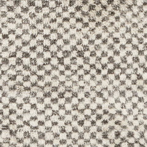 Citra Grey Hand Knotted Wool Rug Swatch