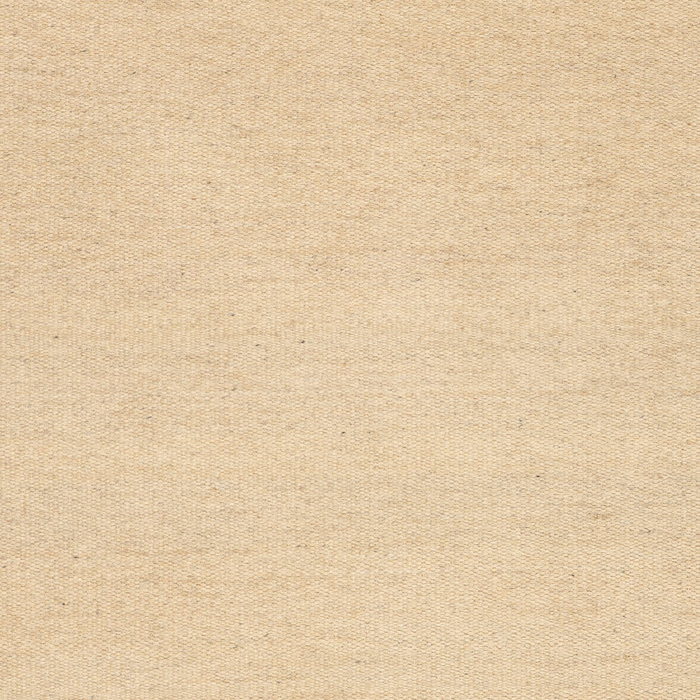 Benia Modern Beige Rug Swatch | Beige