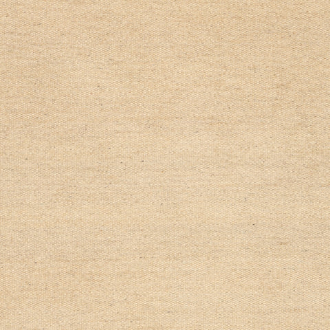 Benia Modern Beige Rug Swatch | Beige