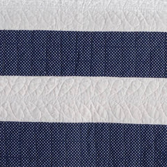 Birch Point Navy Swatch