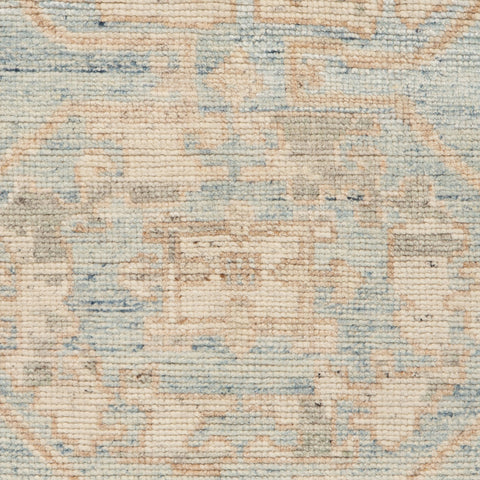 Sarya Traditional Vintage Rug Swatch | Blue