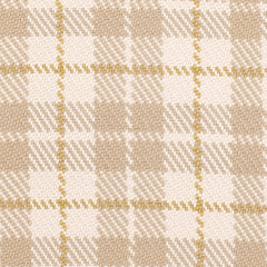 Lakeville Plaid Khaki Handwoven Indoor/Outdoor Rug Swatch