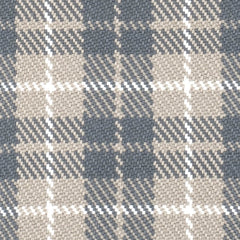 Lakeville Plaid Charcoal Handwoven Indoor/Outdoor Rug Swatch