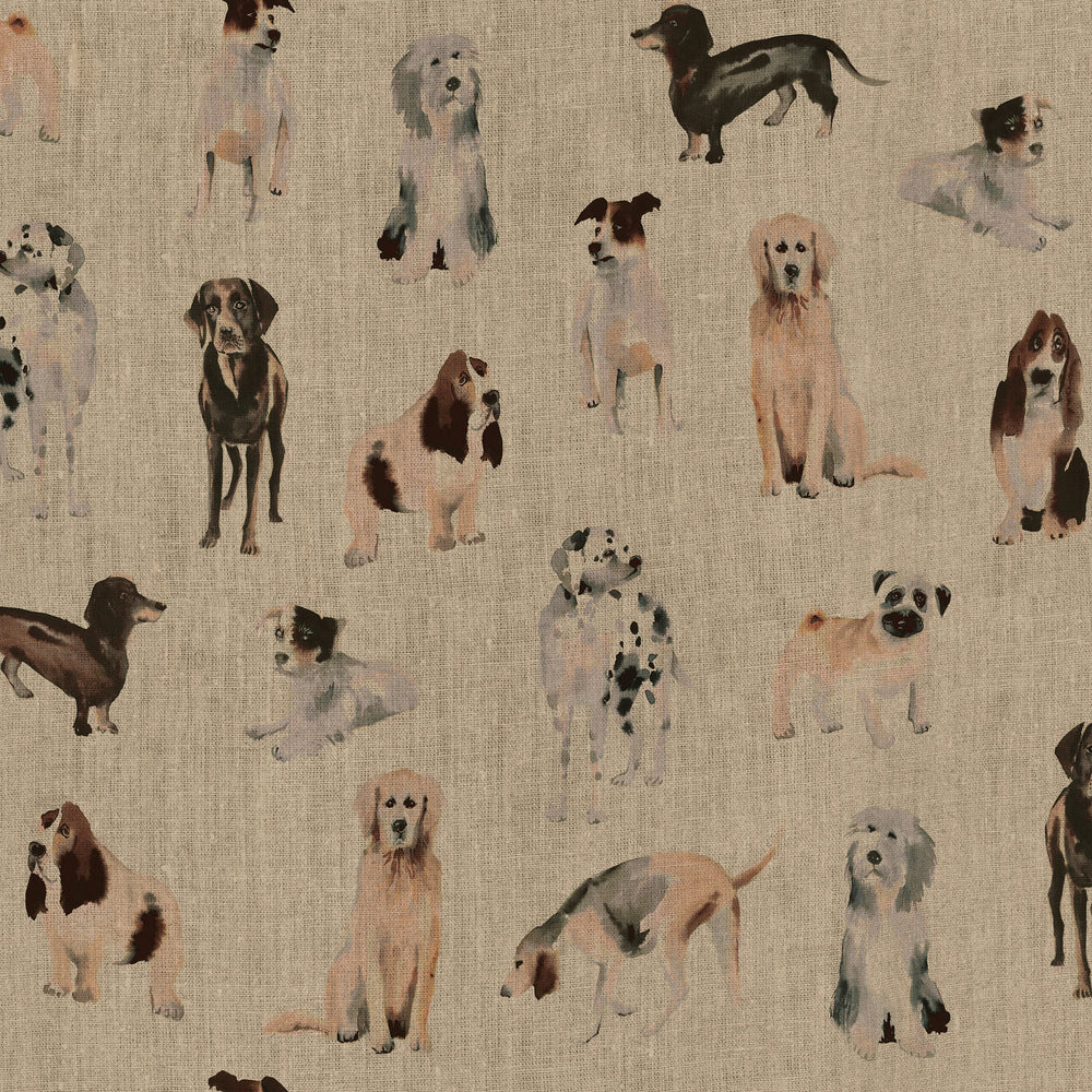 Woof Upholstery Swatch | Neutral