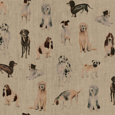 Woof Upholstery Swatch | Neutral