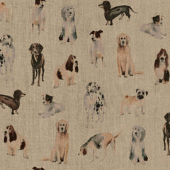 Woof Upholstery Swatch | Neutral