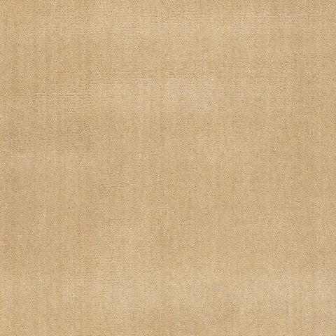 Iania Modern Solid Rug Swatch | Ivory