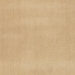 Iania Modern Solid Rug Swatch | Ivory