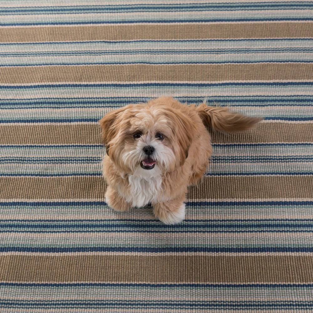 Heron Stripe Handwoven Indoor/Outdoor Rug | Blue