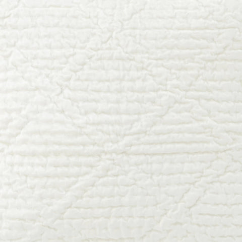 Parisienne Velvet Swatch | Dove White